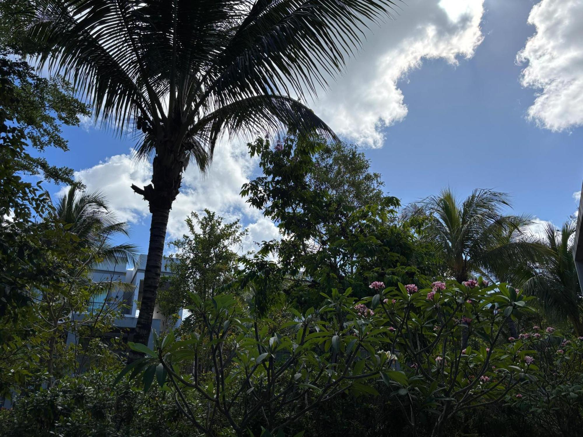 Mont Choisy Le Parc By Pam Golding Apartman Kültér fotó